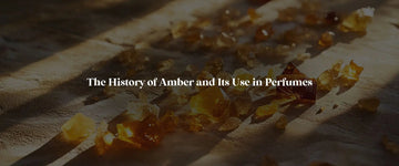 Since 1800s & Still Ruling Olfactory Senses! History of Amber and its Use in Perfumes - RareScents