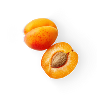 Apricot