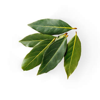 Bay Leaf