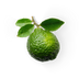 Bergamot