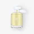 Dirty Mango The Fragrance Memories