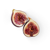 Fig