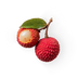 Litchi
