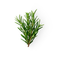 Rosemary